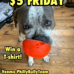 Photo by Philly Bully Team (@phillybullyteam)