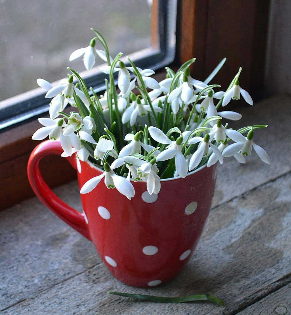 #جمعه_مباركه.

لا يوجد أسهل من الكراهية والبغضاء، أما الحُبّ ، فهو يحتاج نفساً عظيمة...