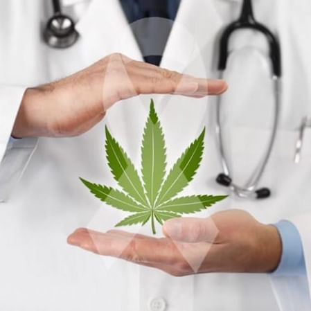 FoundationHemp's tweet photo. FRIDAY FACTS:- 
"Growing HEMP as nature designed it is vital to our urgent need to reduce greenhouse gases and ensure the Survival of our Planet"
         BY:- Jack Herer (Legend)
#HEMP #hempoil #hempseeds #organicseeds #hempfabrics #hempclothings #hemptshirts #hempnews https://t.co/44EQuWg60i