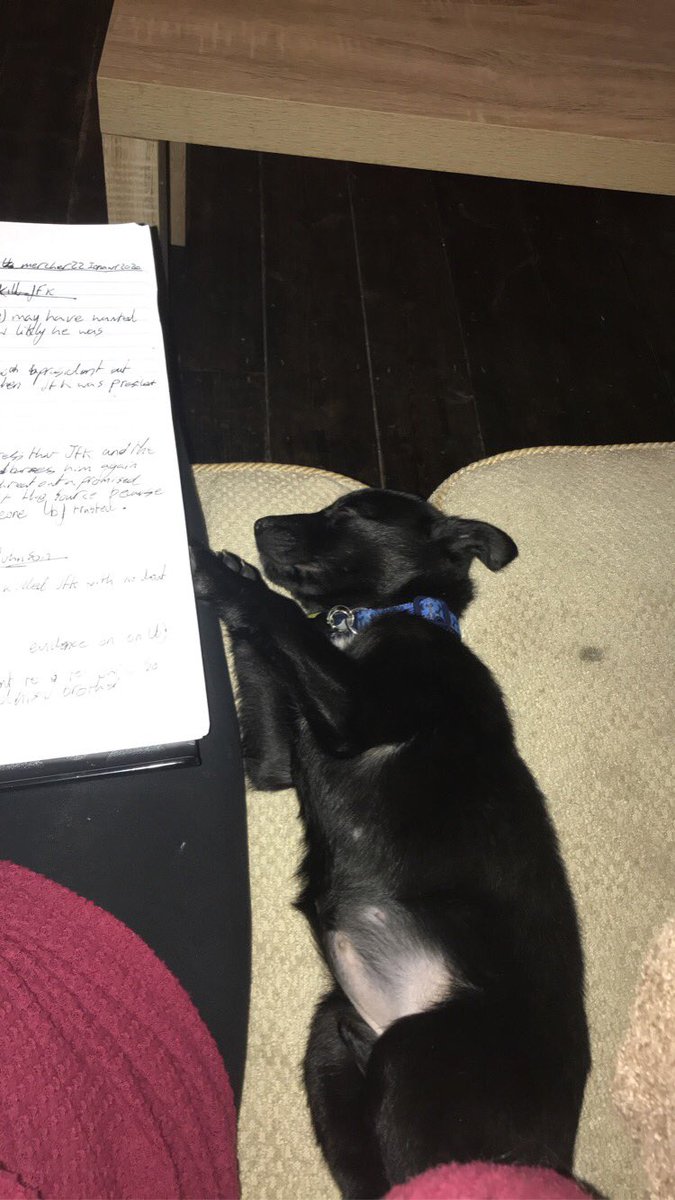 MissAstley2019's tweet photo. 3 classes of year 8 books and assessments marked, one class of year 10 mocks marked and 2 NQT PLEs completed. Oh and I have trained for the last 5 days in a row. For the remainder of half term I will be playing Zelda Breath of the Wild and playing with my new puppy 😍 https://t.co/CilsQBRblB