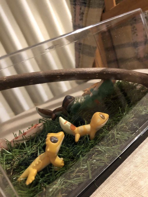 はちゅこっとのtwitterイラスト検索結果