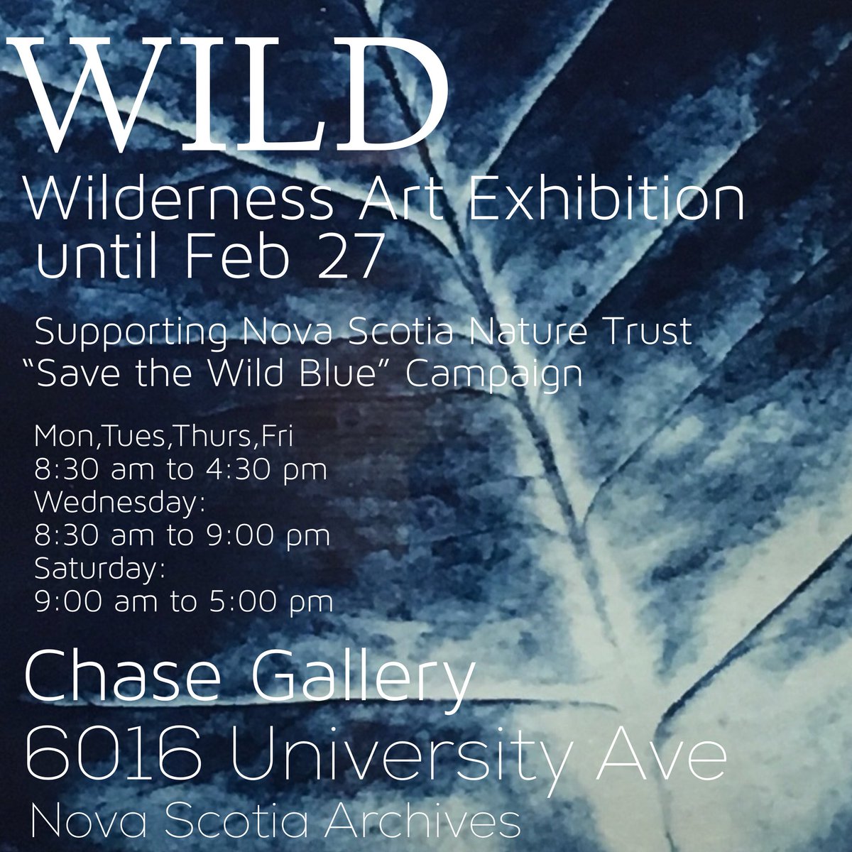 AliceinParis's tweet photo. Until Feb 27. Wild, the wilderness art exhibit supporting
@nsnaturetrust in quest to protect Blue Mountain Birch Cove Lakes.🌲10 artists giving back at Chase Gallery @ns_archives, 6016 University Ave.
Mon Tues Thurs Fri 8:30-4:30
Wed 8:30-9
Sat 9-5
@FriendsBMBCL @nsoutdoornet https://t.co/vbqsgrX0X3