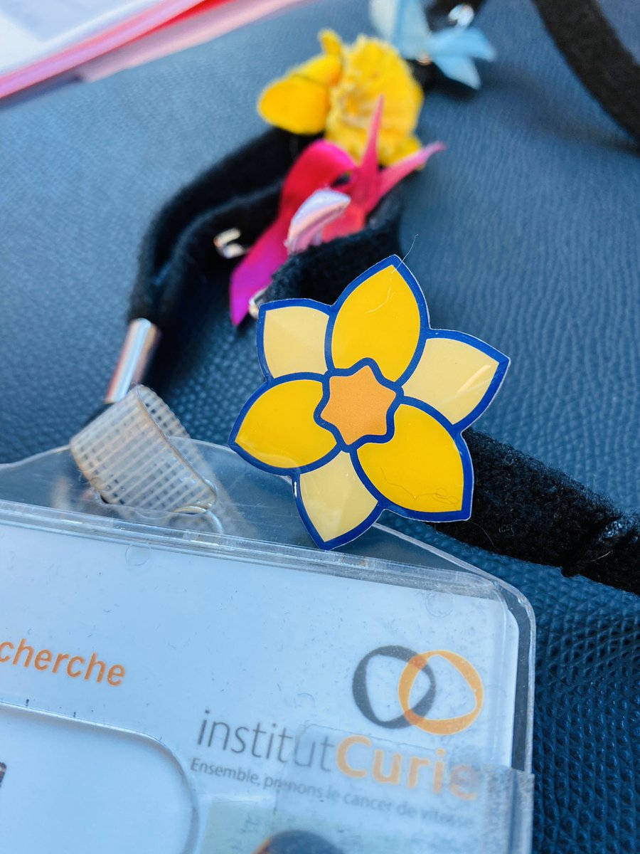 Fra_Torto's tweet photo. Ensemble contre le cancer #UneJonquilleContreLeCancer @institut_curie https://t.co/b4RiIaknZl