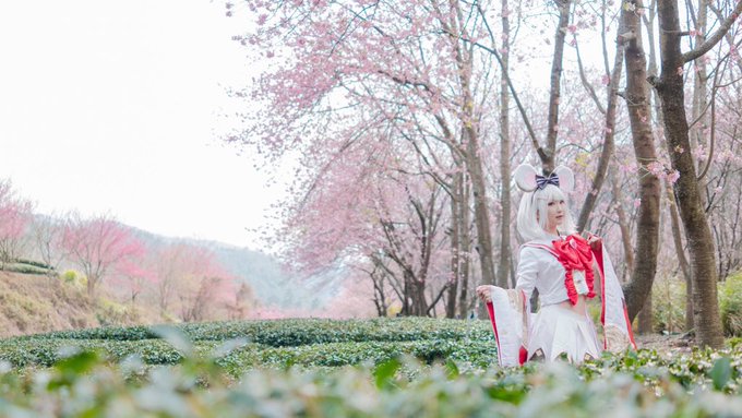 コスプレイヤーHIKOのTwitter画像70