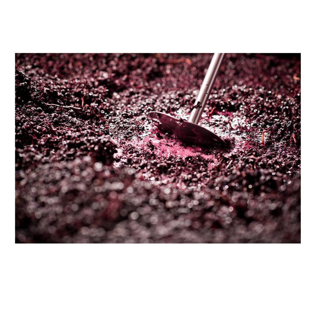 Liberty Wines tweet media