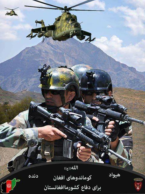 LomaraiHaqiqat's tweet photo. افغان کومانډو ځواکونو د کاپیسا په نجراب ولسوالۍ کې ۶ داعشیان له پښو وغورځول او یوه د مهماتو ډیپو یی له منځه یوړه! ورځ تر بلې امنیتي ځواکونه تکړه کیږي او ښې لاسته راوړني لري.
#IEA #Taliban #الفتح #AlFathFailed
@Zabehulah_M33
#Afghan #AFG #StrongANDSF #AfghanPeaceProcess https://t.co/c1ZSr39zsi