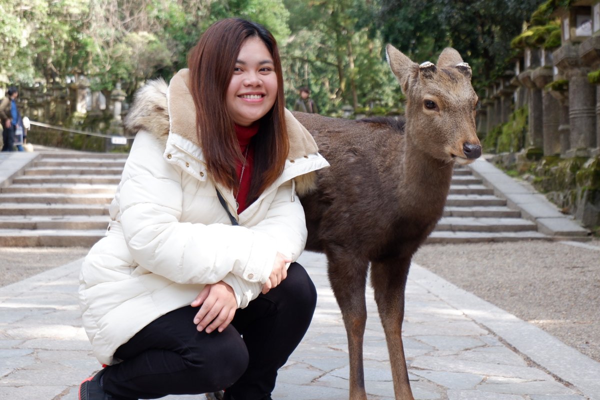 Dulce Bustamante (@iamdulcesb) on Twitter photo 