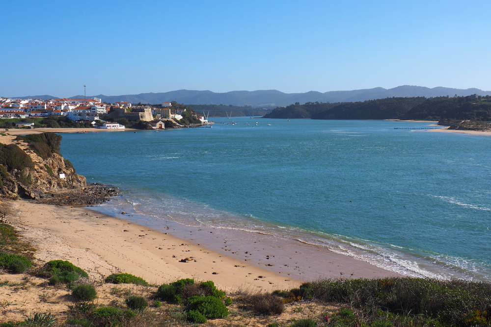 BuzzTrips tweet media