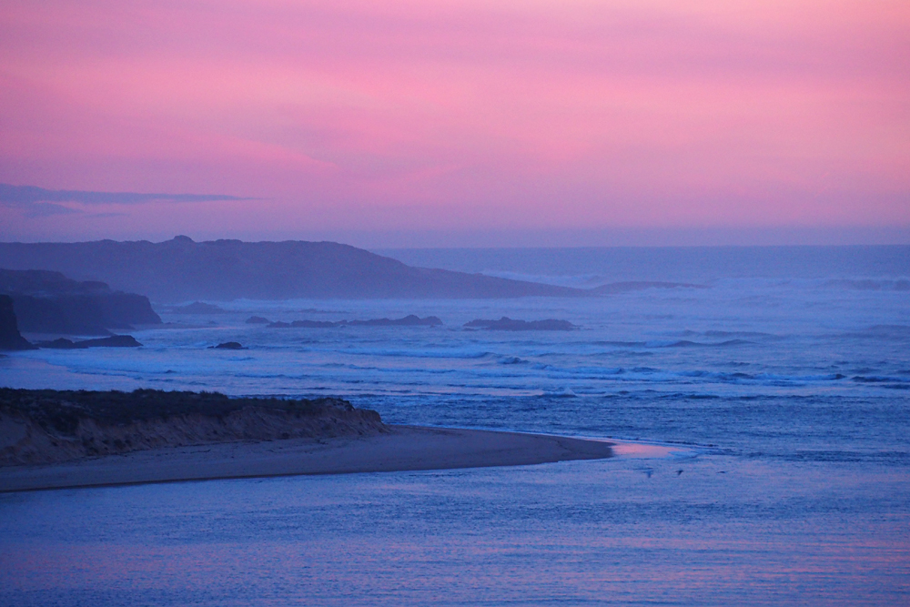 BuzzTrips tweet media