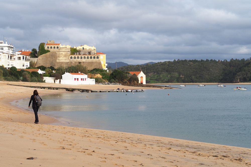 BuzzTrips tweet media