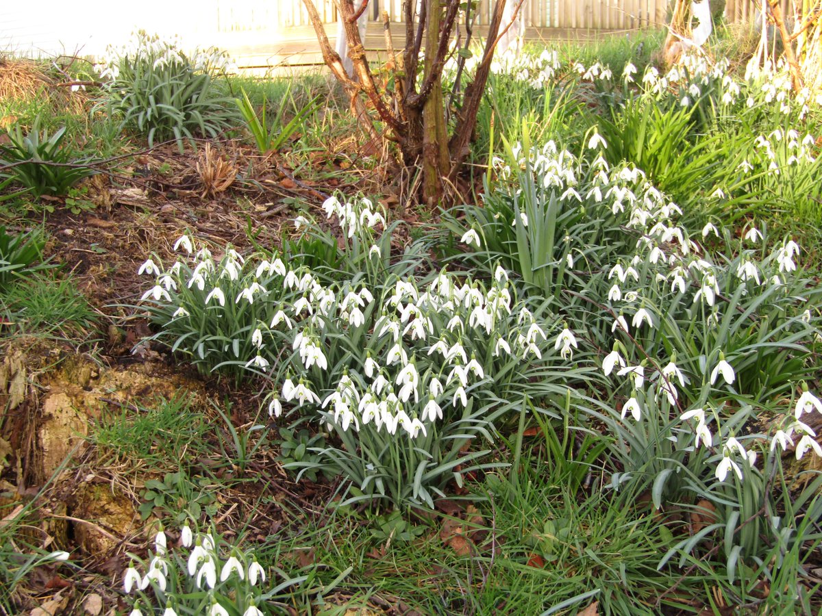 Just over a week to go until we reopen for our Nightly and Seasonal touring... 

Thinking of booking a break away? Come and visit #Lytham in #Lancashire. 

Book by visiting our website: easthamhall.co.uk/bookings
Or call us on: 01253 737907 😀