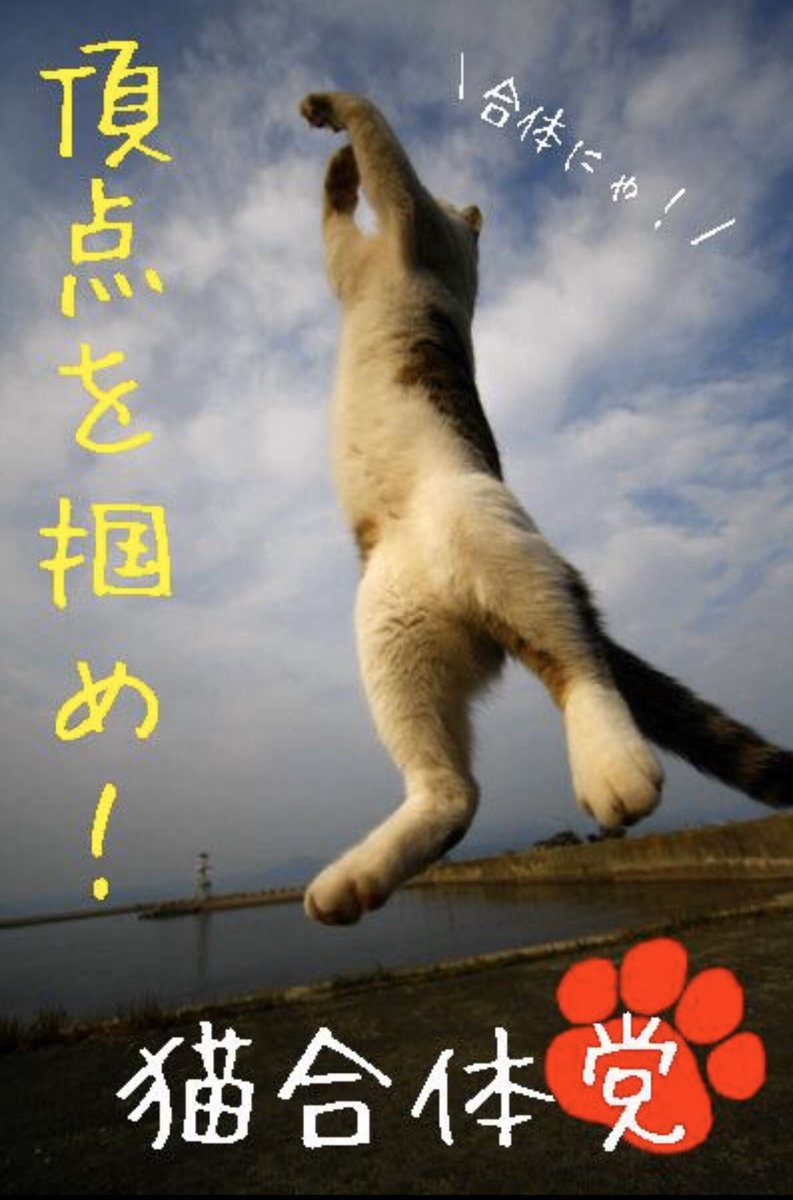 ciro_075's tweet photo. 令和2年2月22日の前夜に
勝手に＼合体にゃ！／＼(ΦωΦ)／ #neko_gattai https://t.co/A6kJ7HMPCQ