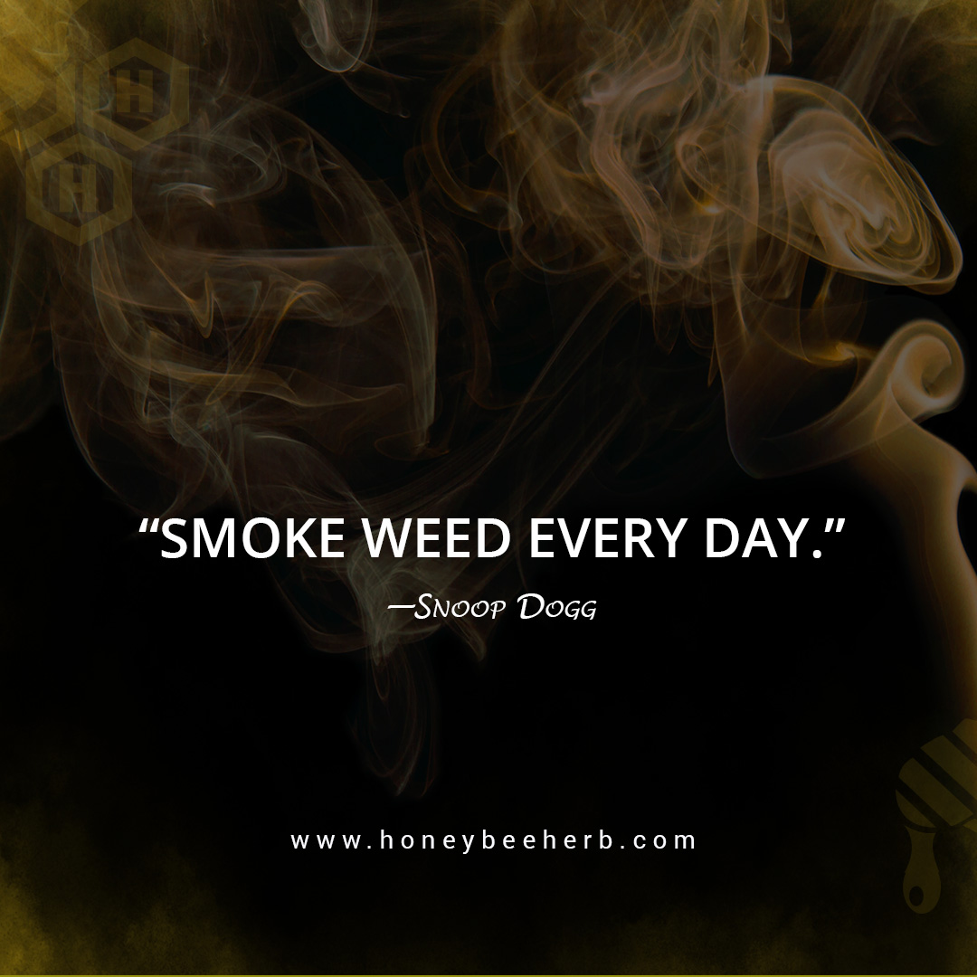 Honeybee_Herb's tweet photo. “Smoke weed every day.” —Snoop Dogg
⁠
#honeybeeherb #cannabis #quartzbanger #quartzbangers #headshop #vapeshop #bongs #marijuana #instamarijuana #cbd #enail #dabs #dabsrus #herb #herbalism #highlife #hightimes #banger #headyglass #quartz #smokingpipe #weed #smoke #smokeweed https://t.co/YPhRKtbC69