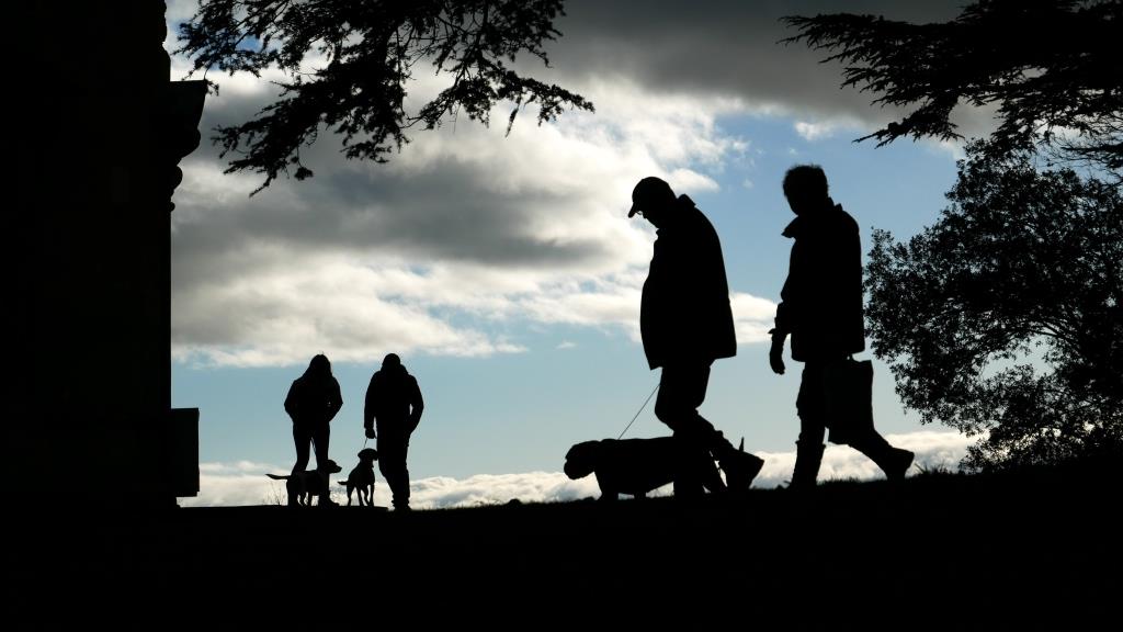 NTCroome's tweet image. Why not grab your wellies and enjoy a walk around Croome on #NationalWalkYourDogDay 

@NTmidlands #nationaltrust #forthglade