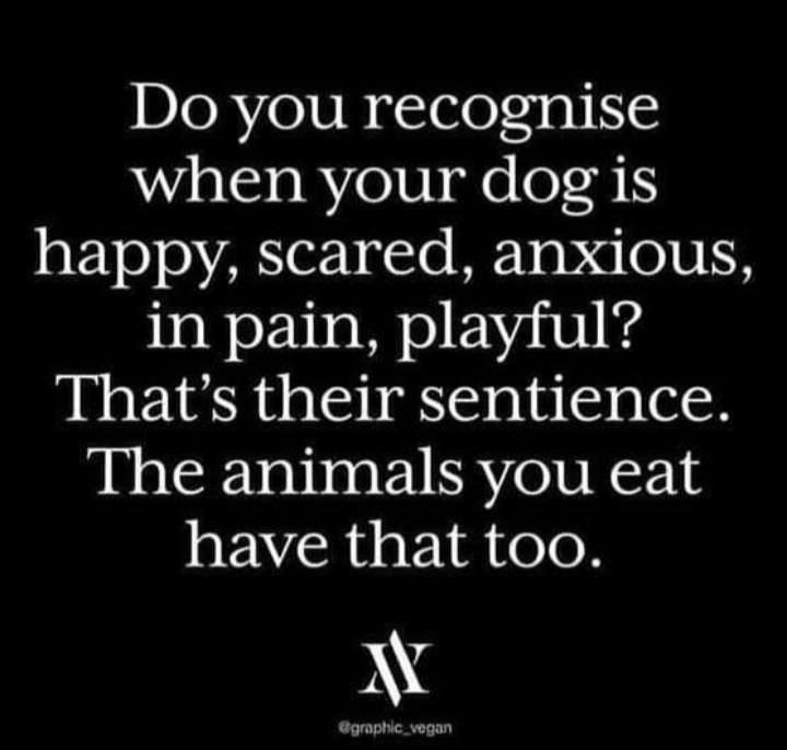 CardiffARG's tweet photo. #empathy #kindness #compassion #vegan #GoVegan https://t.co/eDDzv1Rg1E