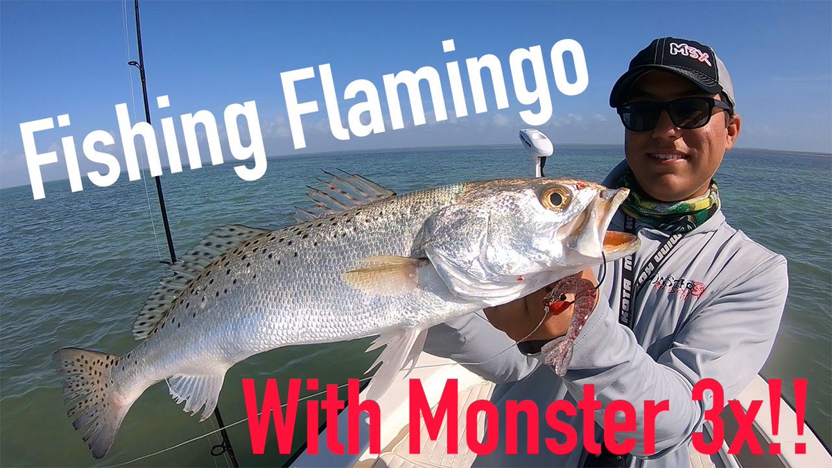 islandlifefish1's tweet photo. https://t.co/9Nb0u8lAj3
๐๐๐๐๐
New video drops at noon eastern time but click the link to view it early!! Name all species caught again this week to be entered in our upcoming 5K giveaway!! Ready set go!! #1KViewsin1Week https://t.co/Y0bab4Zpzd