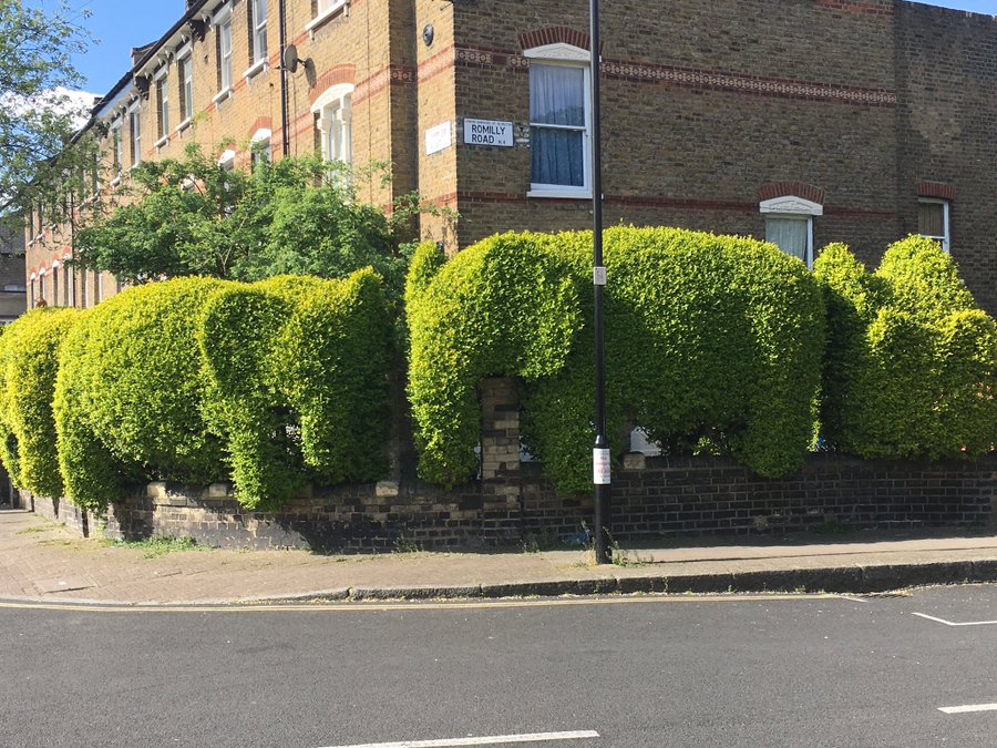 ERTc3OuXsAEgkB_?format=jpg&name=900x900