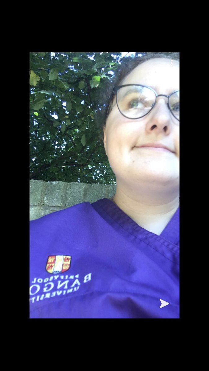 Jamie Boyd tweet media