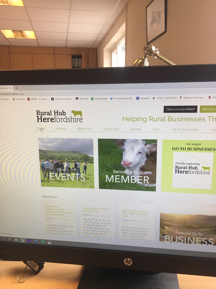 Edward Ford tweet media