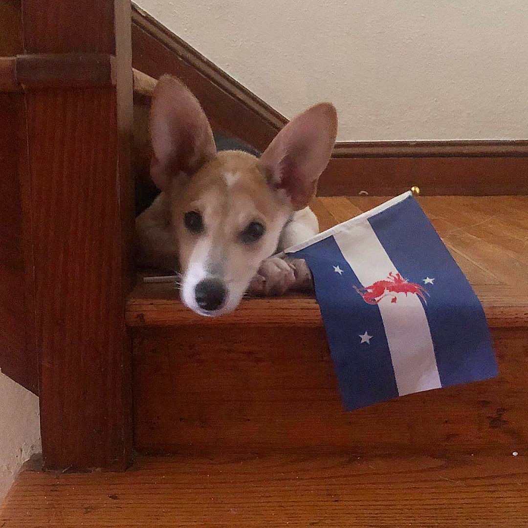 [Beta Flag Friday] Arrow and the brothers of Southern Illinois know the best way to end your week is with some Beta Spirit. Enjoy the weekend, everyone! #flagfriday #gobeta #betaspirit