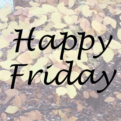 TheRaglanSuite's tweet photo. Happy Friday Everyone, enjoy your weekend!!! https://t.co/RSLYsLIkFT