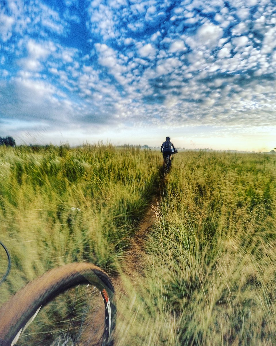 kim voller tweet media