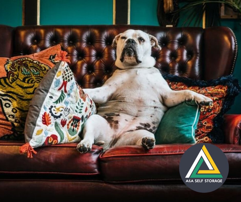 Redecorating? 

Your house may look beautiful when it is finished, but you don’t want that paint staining your most expensive furniture! 

Keep your valuable items out of the way in a self storage unit 

aaselfstorage.com