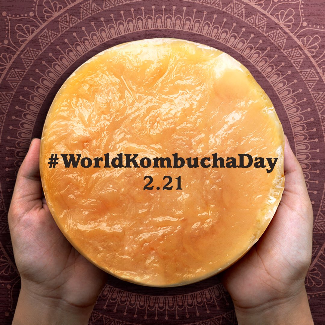 drink_synergy's tweet photo. Happy #WorldKombuchaDay!  Did you know Kombucha was first gifted in 221BC by villagers in ancient China? Help us spread the love. RT and we may just send you a free #GTsKombucha 😊. https://t.co/bIHm38ZvDQ