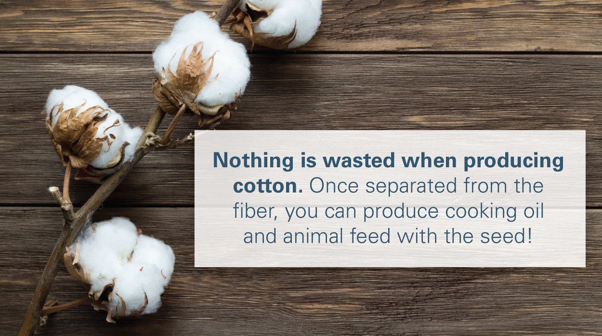 WeAreLDC's tweet photo. We are a leader in #cotton merchandizing. Find out how we source from major producers to serve key consumer markets worldwide. #DNAtagging #traceability #zerowaste https://t.co/X7IB8Ewbfb https://t.co/XJ6b4T6fce