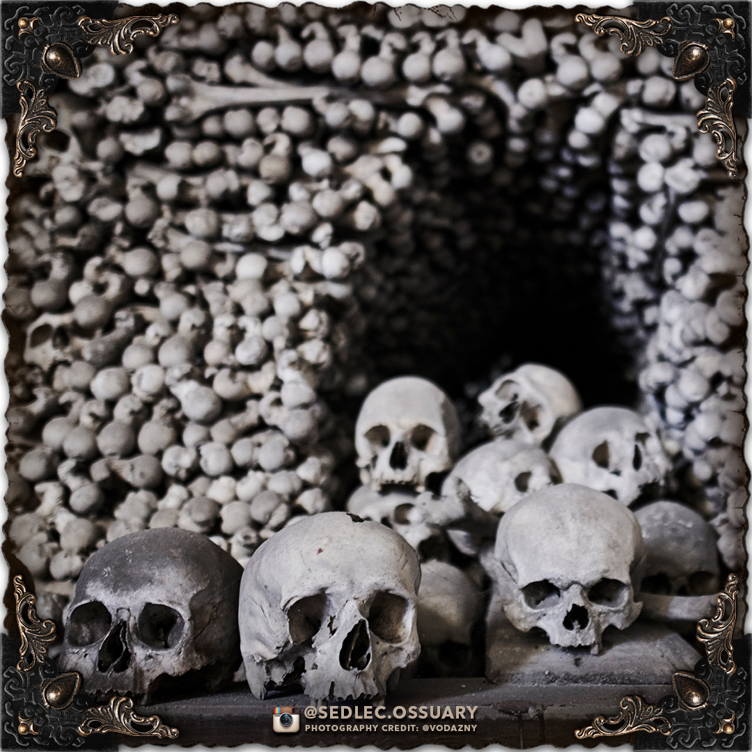 SedlecOssuary_'s tweet photo. Where do you think this tunnel leads to? Do you know what else it was used for?

Mailing list: https://t.co/x5ALz0sCSl

#SedlecOssuaryProject #SedlecOssuary #Sedlec #bonechurch #KutnaHora #skulls #creepy #ossuary #kostnice #churchofbones #skeleton #humanbones #mementomori #bones https://t.co/6wEeFJltVQ