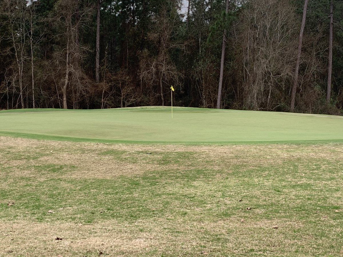 JC Childree tweet media