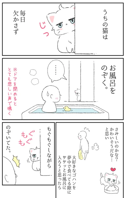 「君がお風呂をのぞく理由」#猫の日 