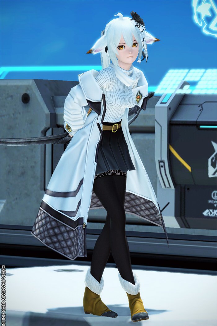 nekosuke0312's tweet photo. 自慢のうちのこ。
＃PSO2 https://t.co/9So6796t3r