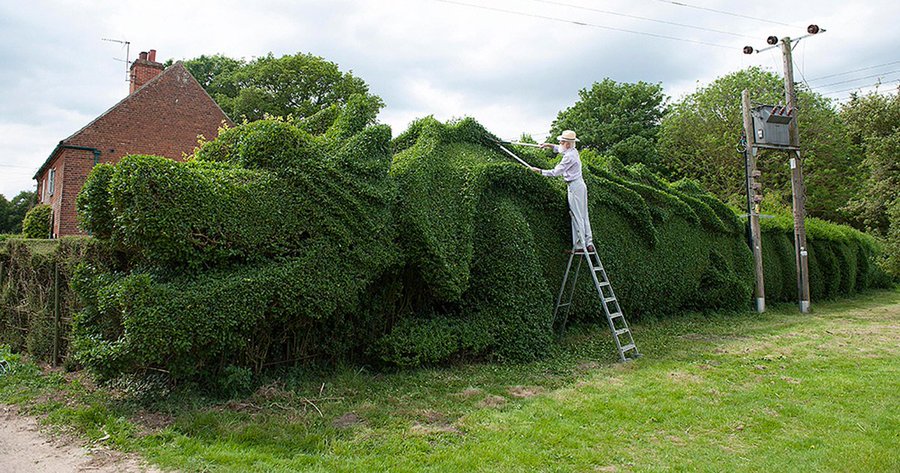 ERTjrf-W4AAHKPr?format=jpg&name=900x900