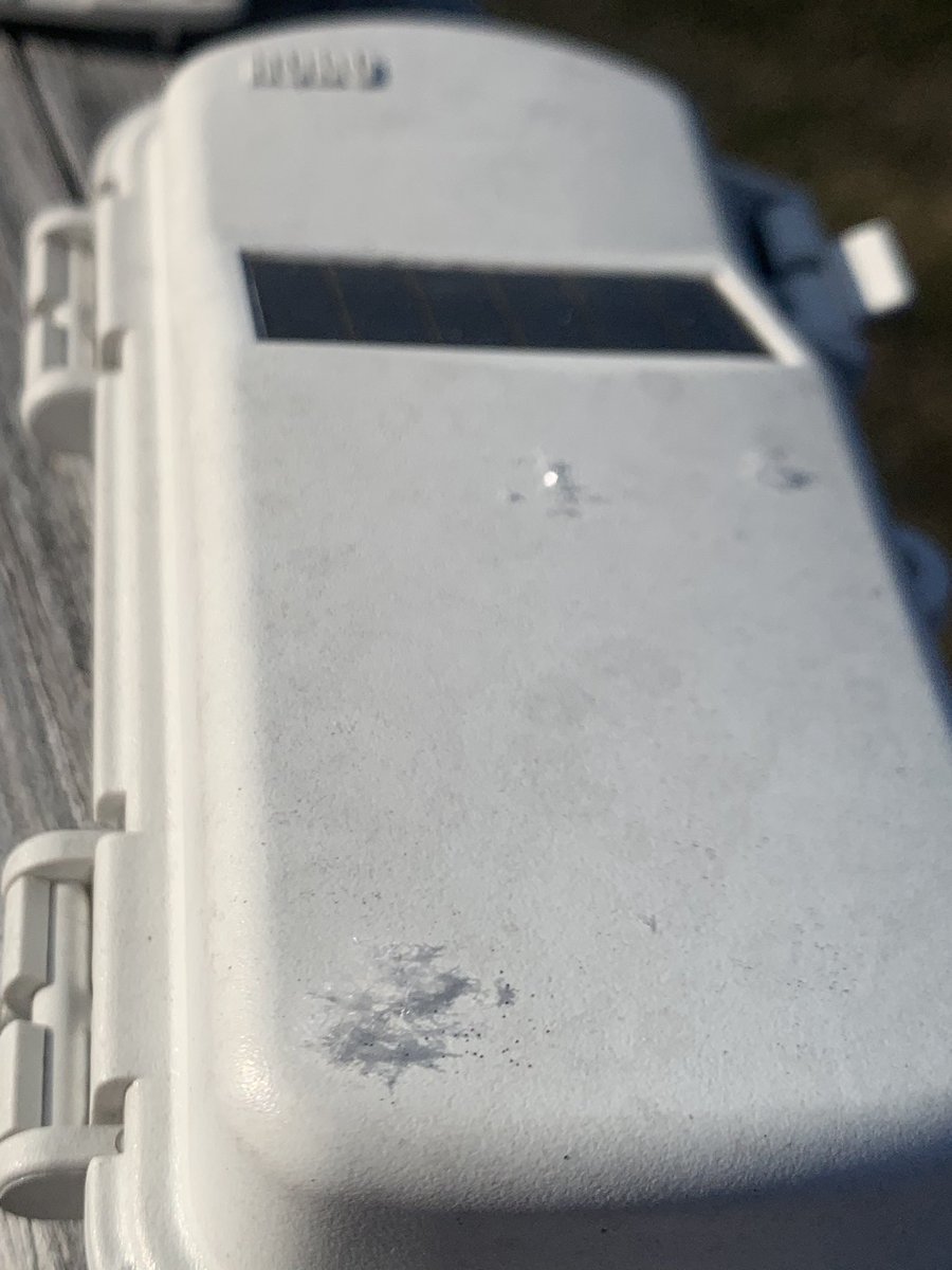 TheScott_Ellis's tweet photo. Champaign powder this morning on #CapeCod @HOBODataLoggers #HOBOnet looks like it will be able to handle flakes #snow #thinksnow https://t.co/Hnue4xbrts