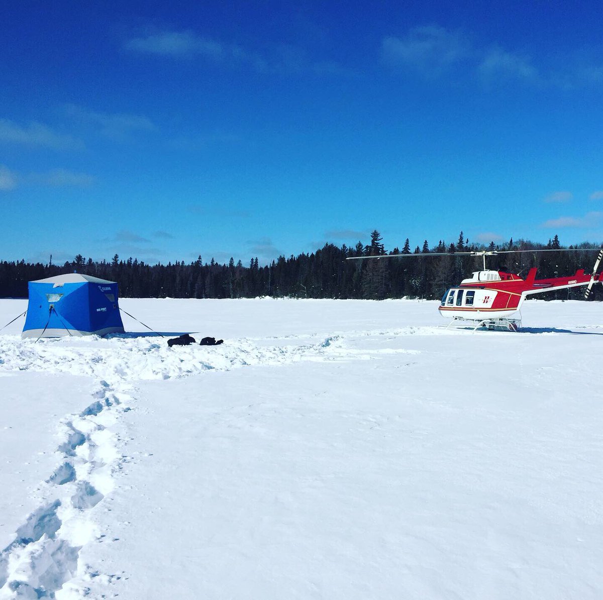 A successful week of collecting sediment cores from remote lakes in Quebec <a href="/JanekirkHg/">JaneKirk</a> <a href="/DCGMuir/">Derek</a> <a href="/EcccAmber/">AmberGleasonECCC</a> <a href="/zofia_e_taranu/">Zofia E Taranu</a> <a href="/environmentca/">Environment Canada</a> #palaeolimnology #contaminants