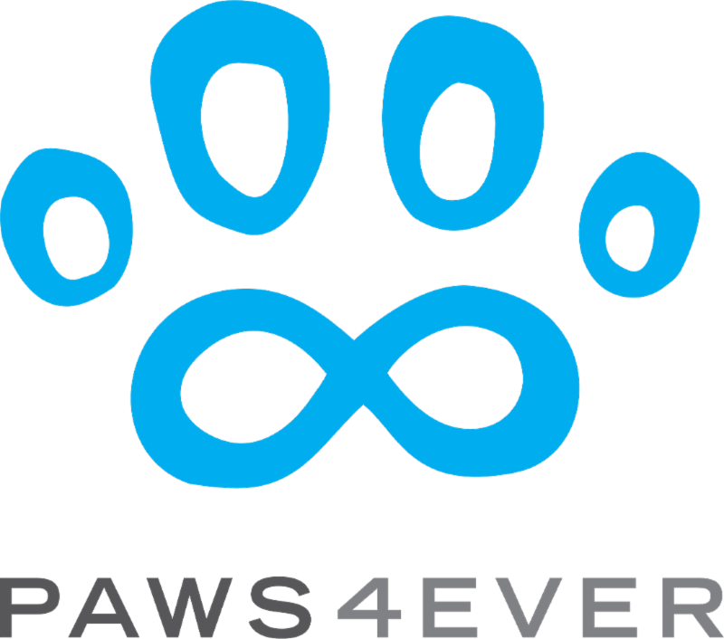 paws4ever_nc's tweet photo. There's a Brand New Class at Paws4ever! https://t.co/fnoKdqy2v7 https://t.co/h8qru4XxJk