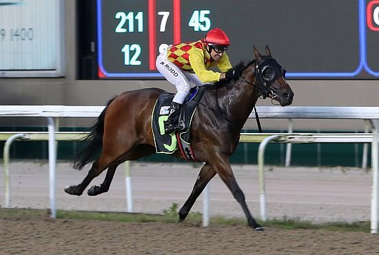 Very Excited to bring up the stables  first winner tonight in the $75k Restricted Maiden with Mega Gold (our first horse purchased) thanks to the Gold Stable, all our staff and  @MichaelRodd2 for a great ride! #winner #sgracing #fitzsimmonsracing