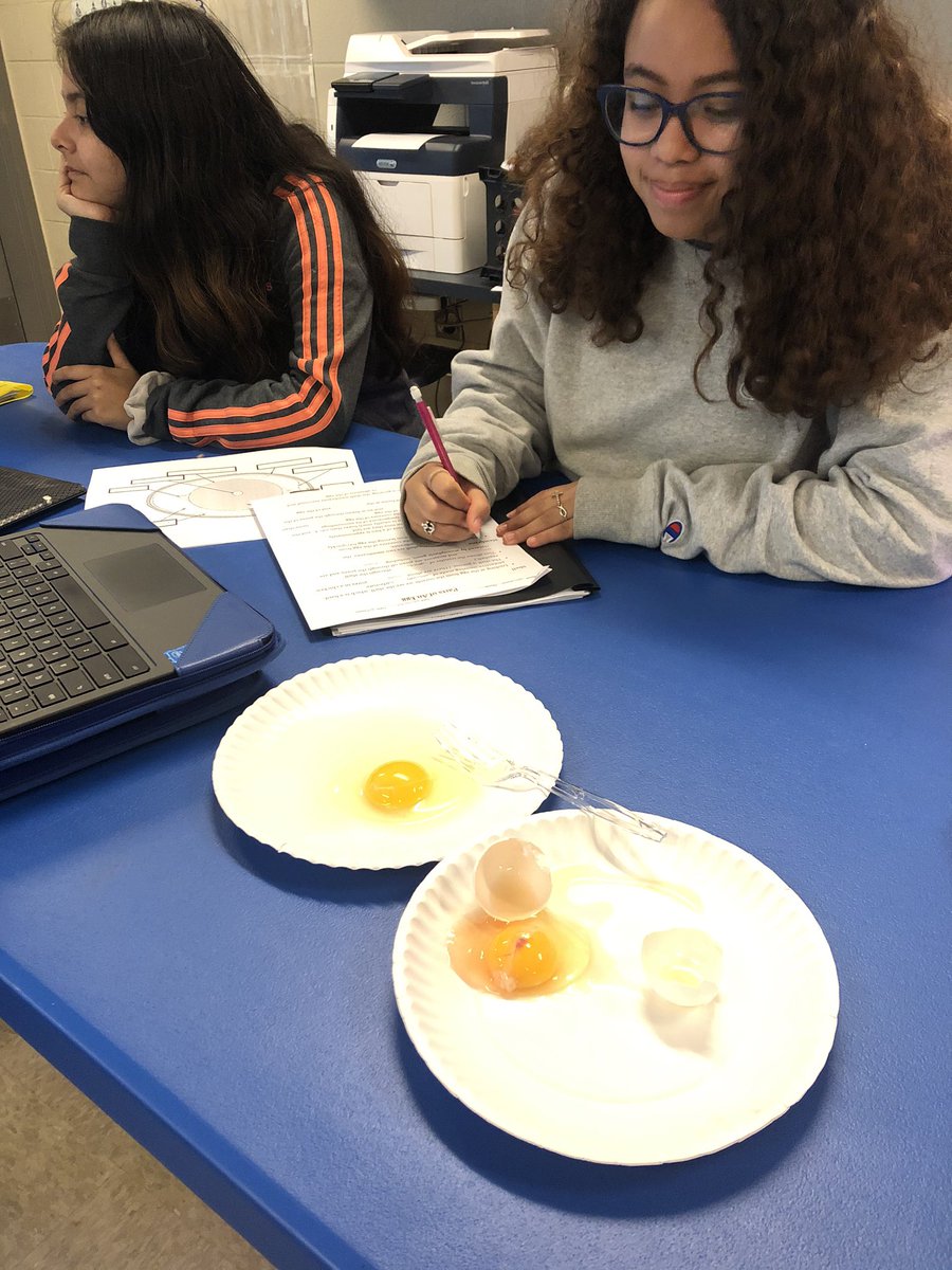 “Mrs. Hail, I never knew there was so much stuff to learn about chickens and eggs!” <a href="/LampasasFFA/">Lampasas FFA</a>