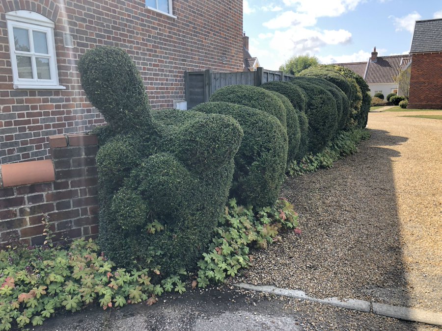 ERTlVuWWAAIkNwB?format=jpg&name=900x900