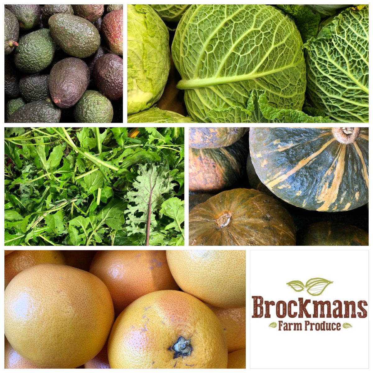 We invite you to our organic Farmers Markets in London. Every Saturday and Sunday. Vegetables and fruits.