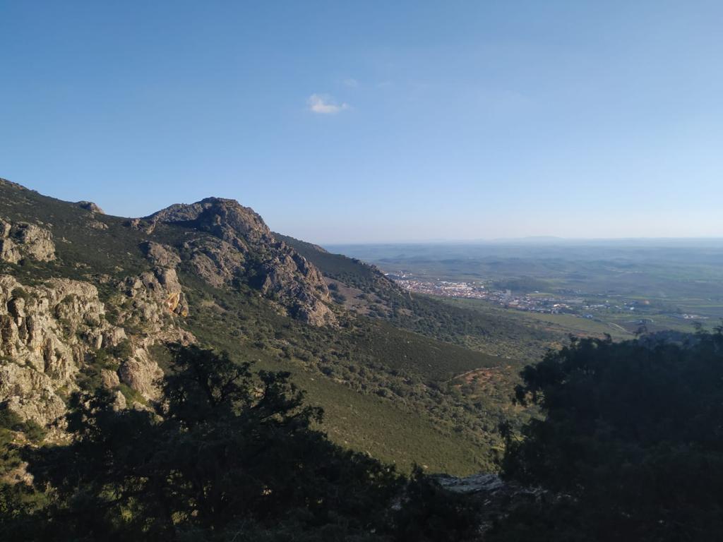 THornachos's tweet photo. Vistas de Hornachos desde la Sierra
Hornachos Tres Veces Paraíso.
Fotografía de José Alberto González Cuello https://t.co/YnFrLMbslz