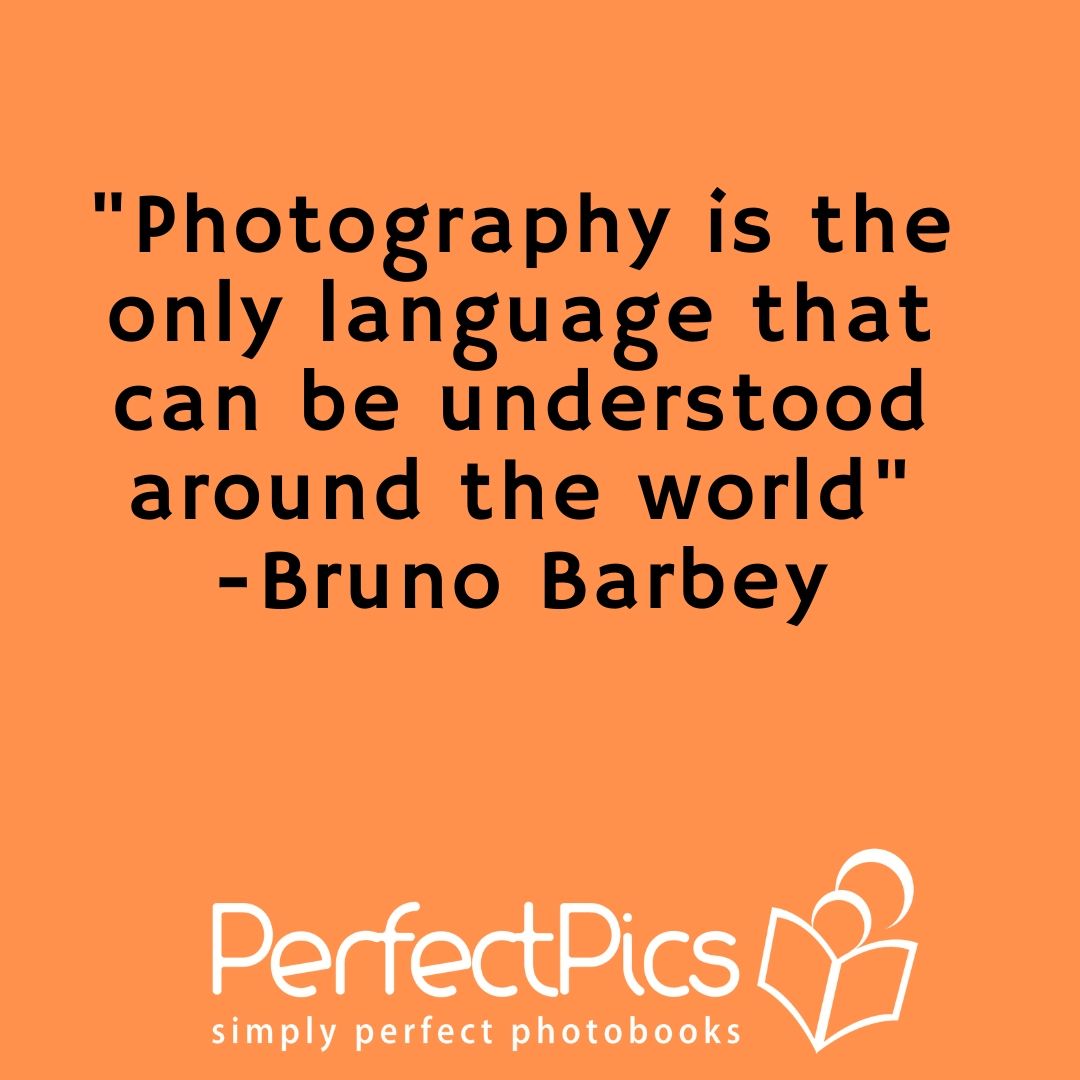 PerfectPics_Ke's tweet photo. Tell us your story...

#KeepMemoriesAlive #perfectpicskenya https://t.co/AnL6HbzQQi