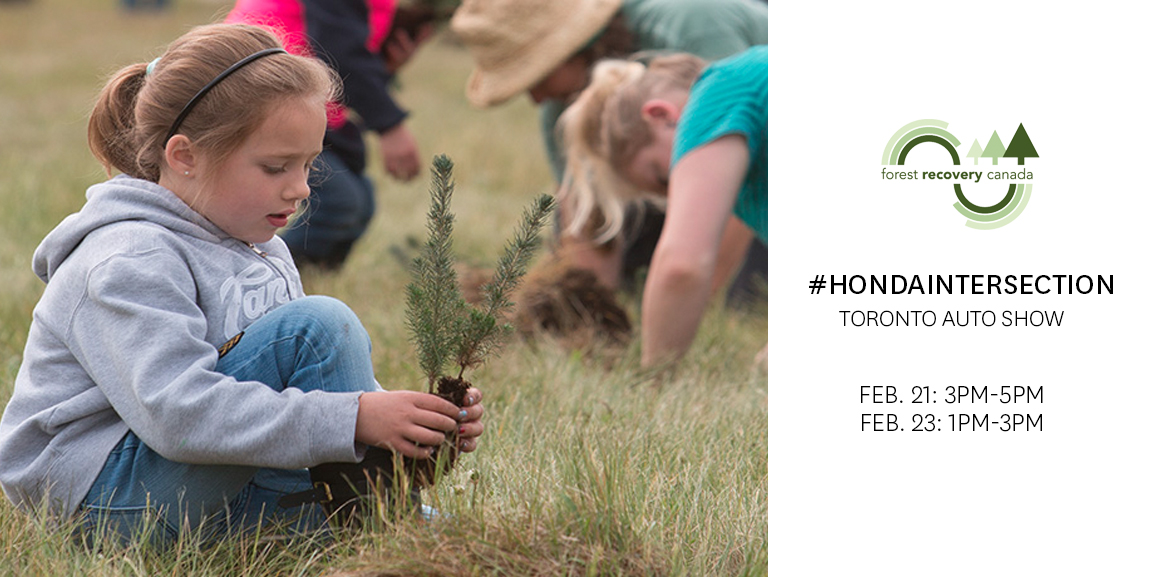HondaCanada's tweet photo. Curious about @ForestRecovery in Canada? Visit us at #CIAS2020 this weekend to find out about how we’re partnering on conservation efforts across the country.

📍 The #HondaIntersection @AutoShowCanada https://t.co/t8FMYYgz02