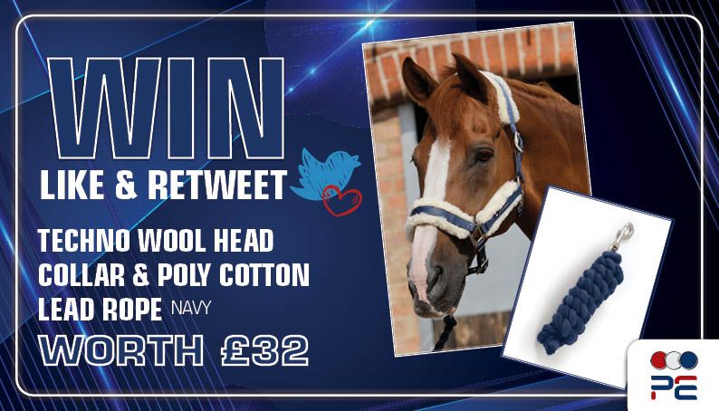 Premier Equine Int. tweet media