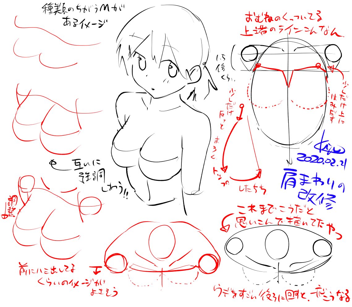 肩周りのメモ 