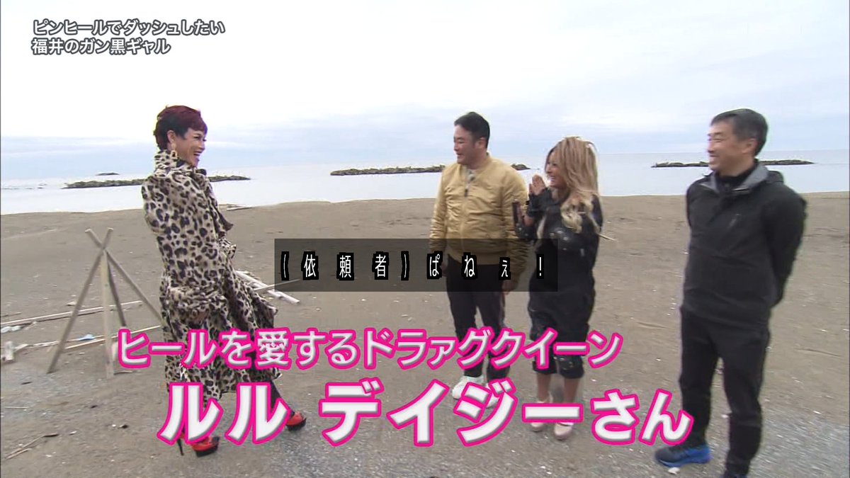 O Xrhsths いるみん Sto Twitter すげー人でてきた 探偵ナイトスクープ