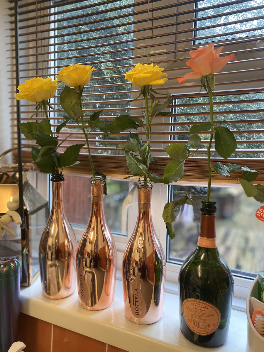 wsm_blog's tweet photo. I think I need to get a few more wine bottles as vases, the other 32 roses from this bunch have withered away π₯ , these 4 still going beautifully πΉππΎ #PassTheWine #ForDecprationPurposesOnly #Friday #WineTime #Upcycle #Recycle #RecyclingAtItsBest #MommaTime #MomLife #WSMBlog https://t.co/GJrWgxT5WP