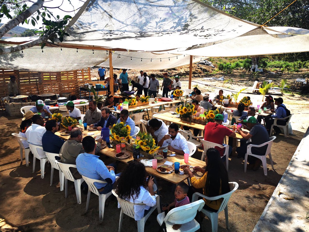 JOSEMARICHE's tweet photo. En NATIVO Cocina Tradicional &amp; Gourmet estamos promoviendo el rescate de los maices  nativos y la cocina tradicional Oaxaqueña en el municipio de Villa de Tututepec y Puerto Escondido, Oaxaca.
@bramaccimmyt
@vlopezsaavedra
@ACCIMMYT
@CIMMYTesp
@FAOMexico
@HubPSurCimmyt https://t.co/FQHVscIZ08