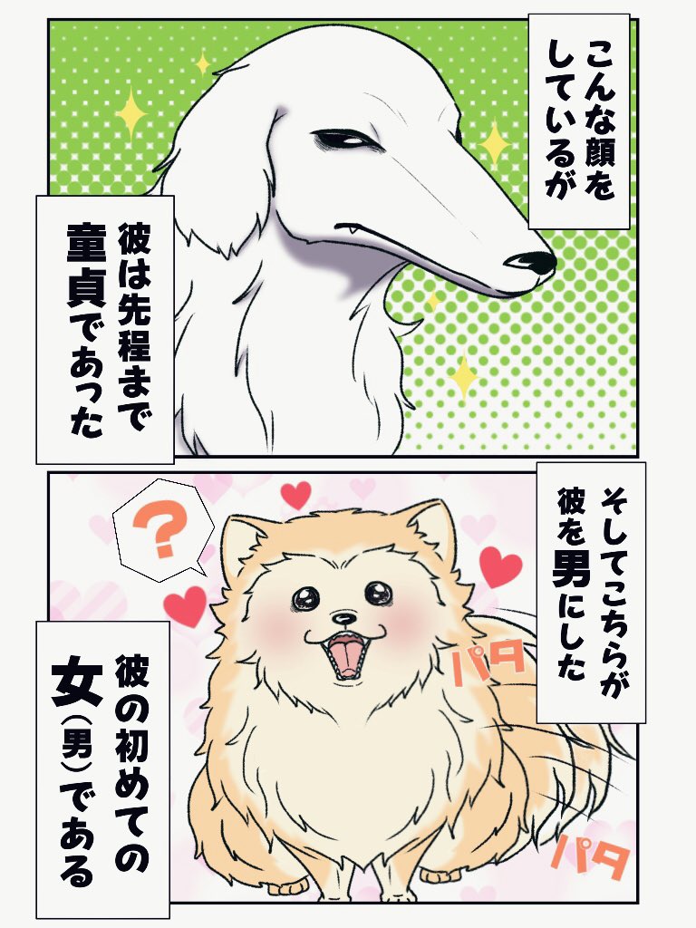 てまら 童貞卒業彼氏テンプレ テンプレお借りしました 織田シナから川中島 ラキジュリ T Co Egccmw3alm Twitter